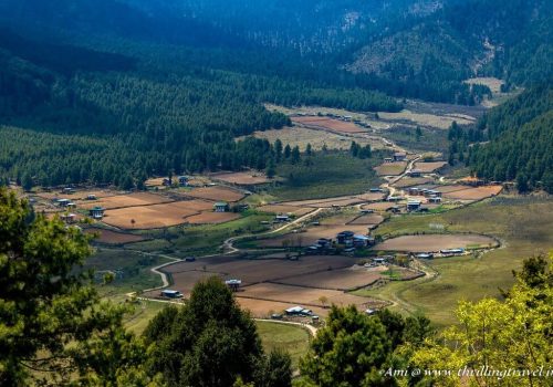 Phobjikha Valley