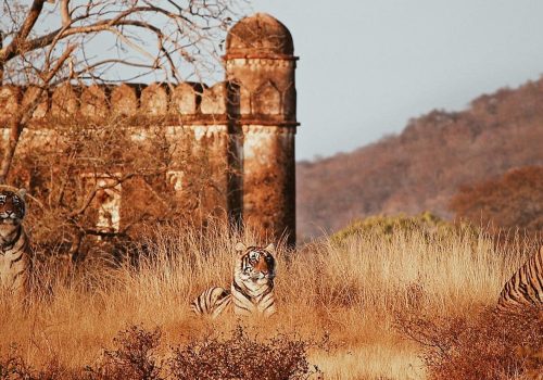 Processed with VSCO with a4 preset