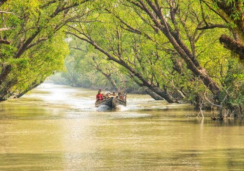 Sundarbans National Park, West Bengal