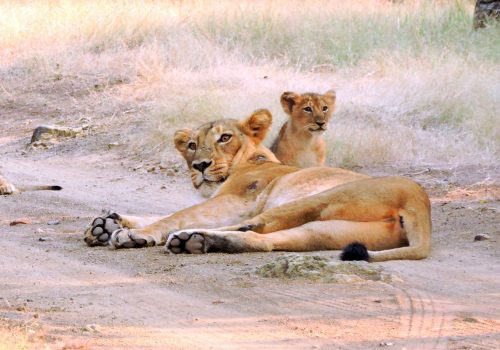 WhatsApp Image 2024-08-02 at 4.15.07 PM